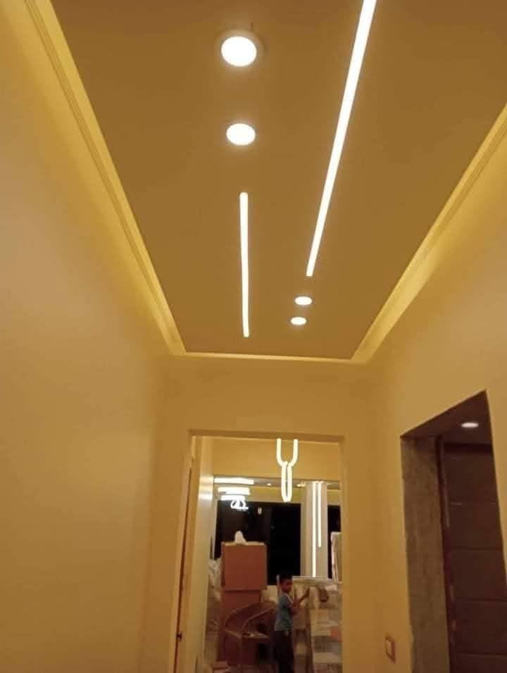 Decorative Ceiling Panels